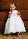 Organza