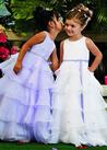 Organza and Crystal Satin