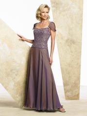 Iridescent Chiffon Gown