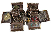 Leopard Jewelry Case