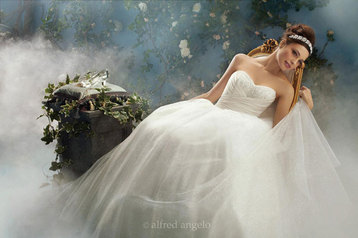 # CINDERELLA Cinderella's fairy tale comes alive with a classic ballgown of tull
