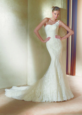 2011 Fashion Collection